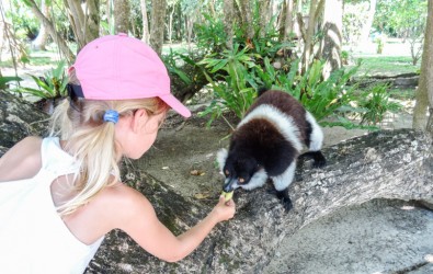 voyage à Madagascar